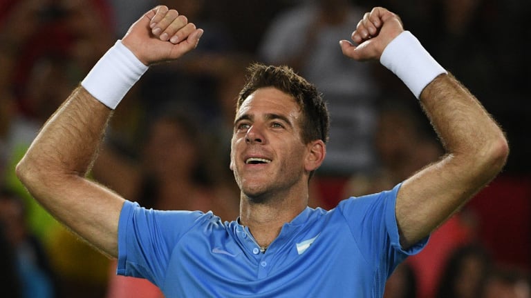 “After all the effort I’ve put in to get back to playing tennis, I’ve defeated the No. 1,” said Juan Martin del Potro after the victory.