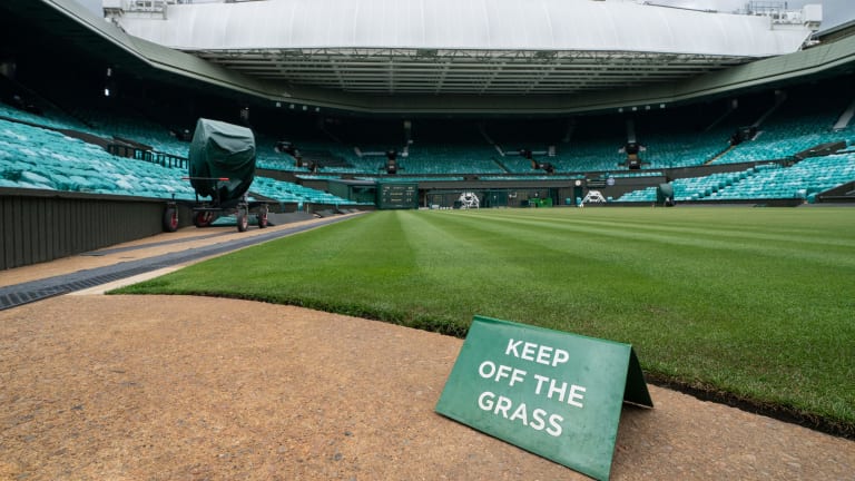 Wimbledon financially stable but could have trouble renewing insurance