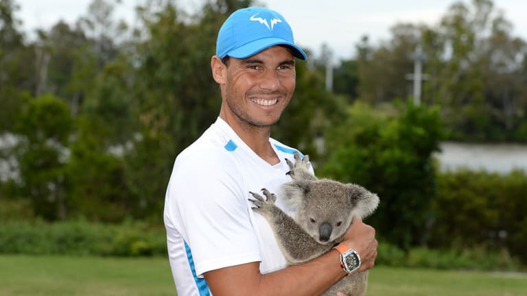 Nadal cuddles up to Dian the Koala in Brisbane.