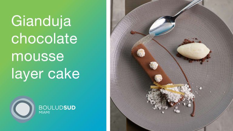 Gianduja Chocolate Mousse Layer Cake (6-8 servings)