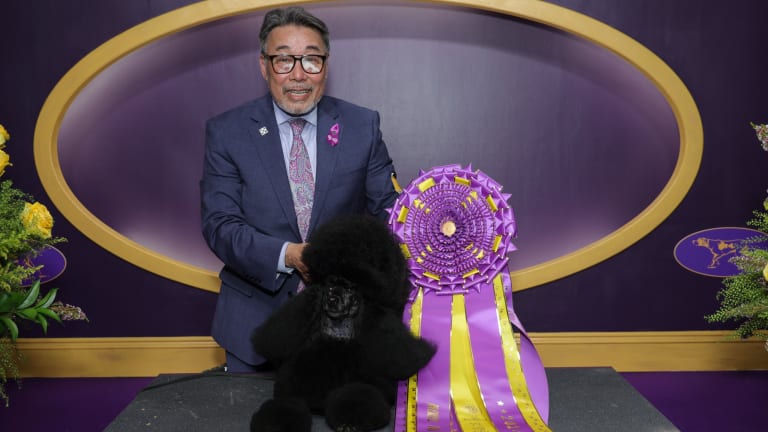 Before Sage, Hosaka led another miniature poodle to first place in 2002.