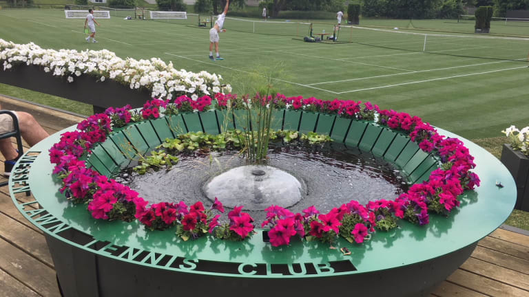 A Wimbledon tune-up in Michigan? One grass event is starting to grow