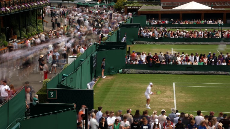 The All England Lawn and Tennis Club has hopes of gaining approval to implement a $250 million expansion plan that would see a new 8,000-seat show court with a retractable roof and 39 grass courts added to Wimbledon's current grounds.