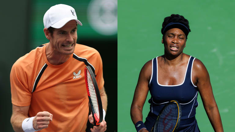 Andy Murray and Venus Williams: Wimbledon icons not ready to let go.