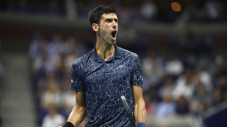 Djokovic's straight-set win over Millman was filled with commotion