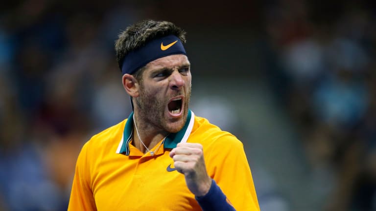 Del Potro roars into US Open quarterfinals with just one thing in mind
