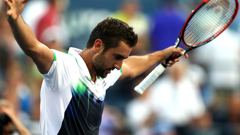 After a year of triumph and disaster, Marin Cilic must define himself
