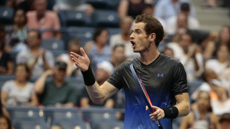 Andy Murray says he will adjust his schedule more carefully in 2019