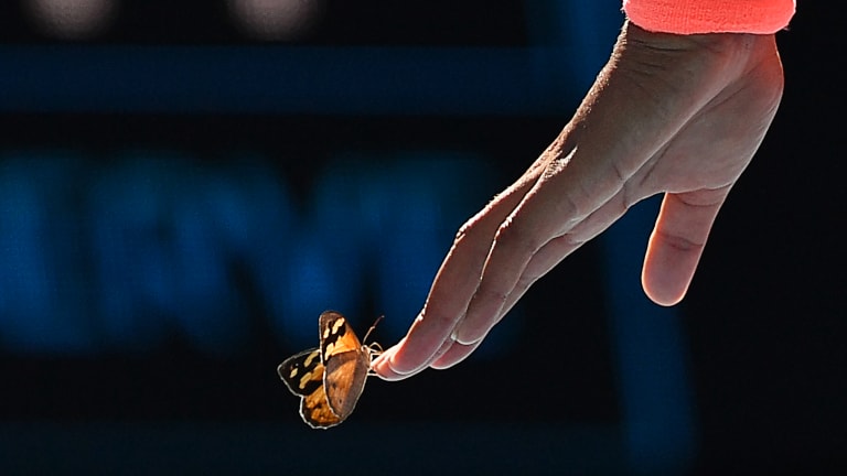 Osaka avoids Butterfly Effect in Melbourne to win 17th straight match