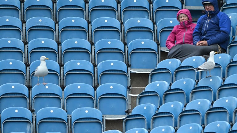 Eastbourne's biggest tennis fans have wings.