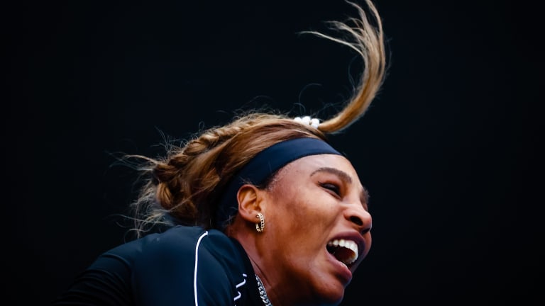 The chase continues: Davenport believes Serena can win 24 Down Under