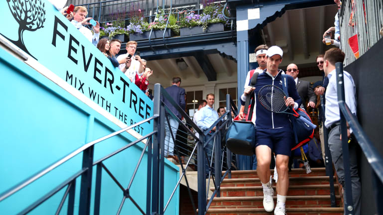 Top 5 Photos: Andy Murray's victorious return at Queen's Club