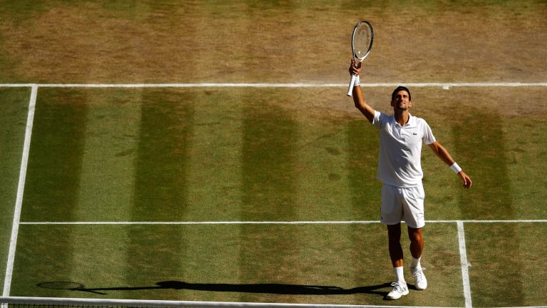 Flink: Novak Djokovic is heading back to the top of men's tennis