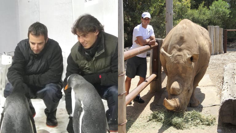 Nadal with baby penguins in 2011, and with a southern white rhino in 2018.