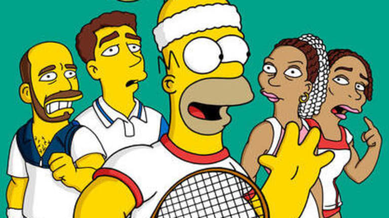 The episode aired in 2001 and also featured voice work from sister Venus, Pete Sampras, and Andre Agassi.