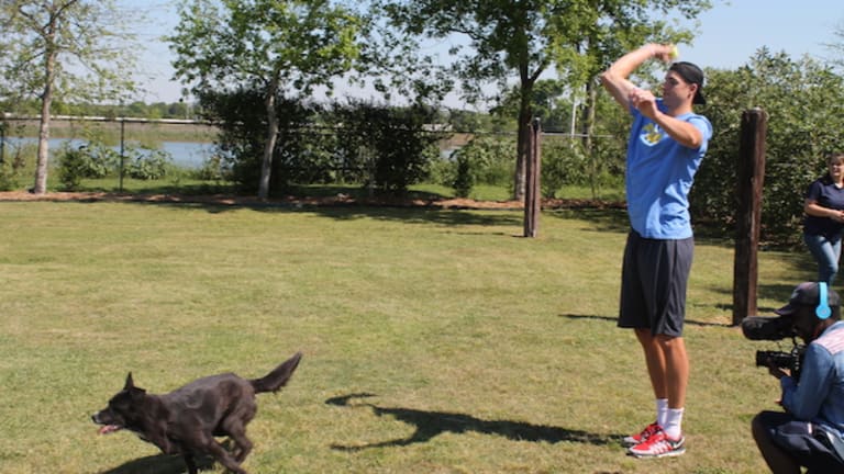 John Isner is helping animals in shelters get healthy meals