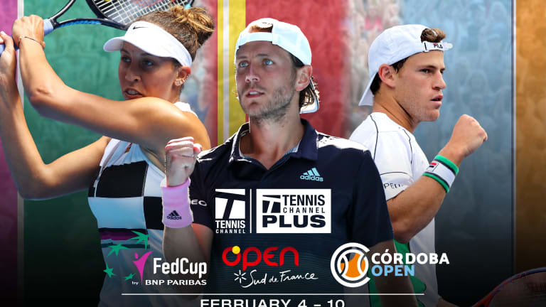 Looking ahead at this weekend's four opening-round Fed Cup ties