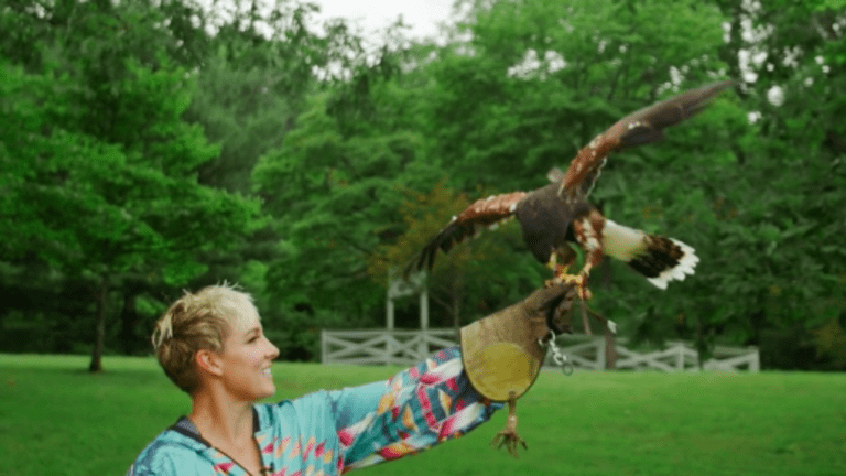 WATCH: Mattek-Sands 
gets up close and 
personal with a hawk