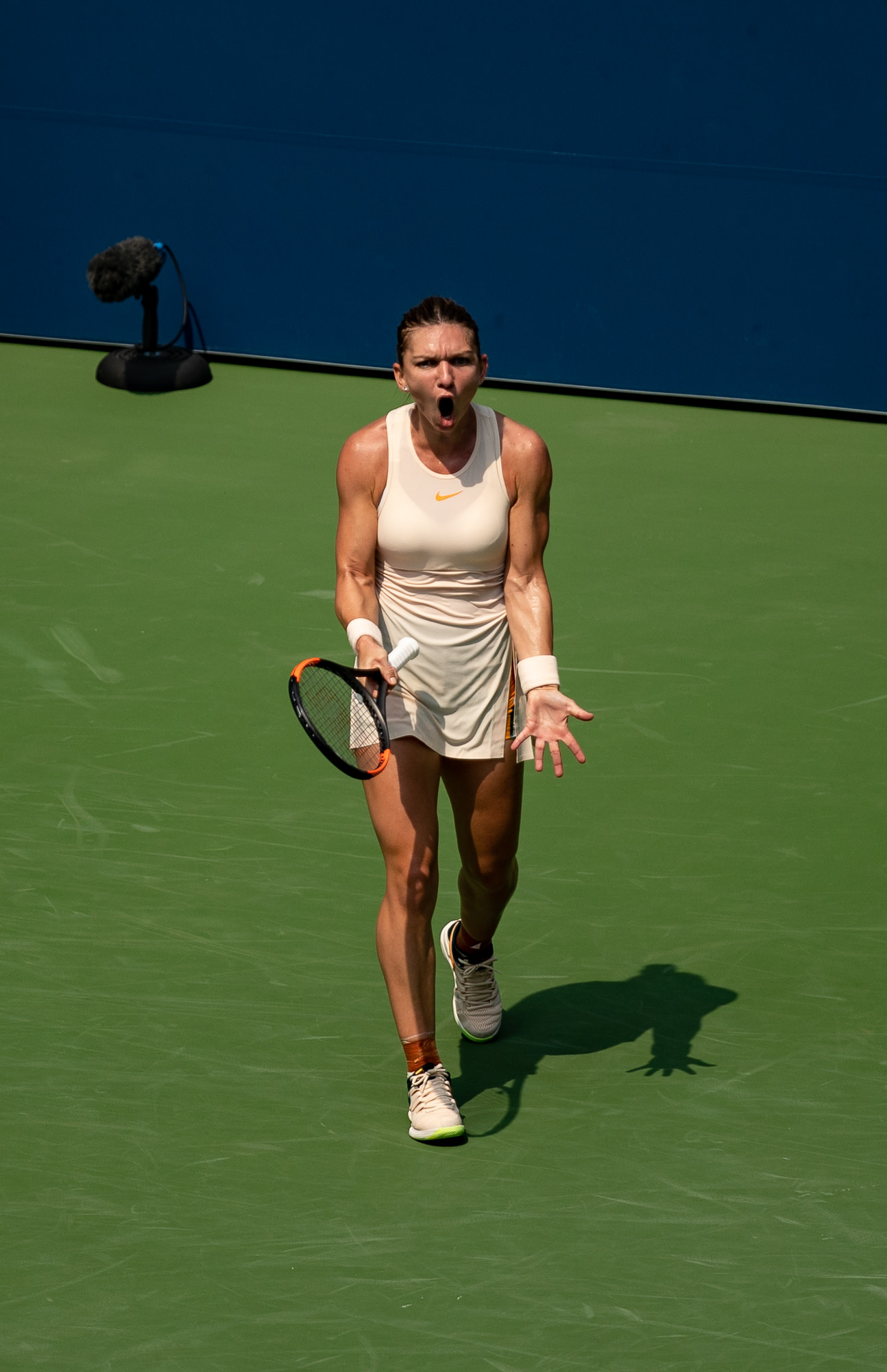 Kaia Kanepi reminds Halep that no player can outrun a well-struck ball