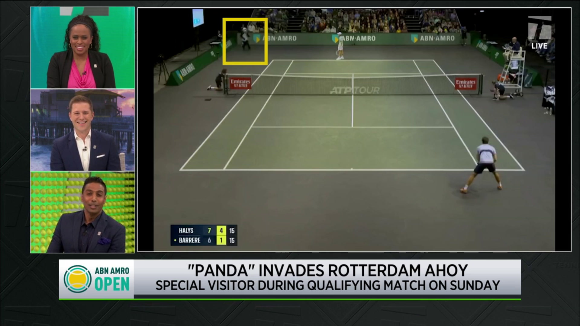 Panda Invades Rotterdam Match Tennis Channel Live 2023 Tennis