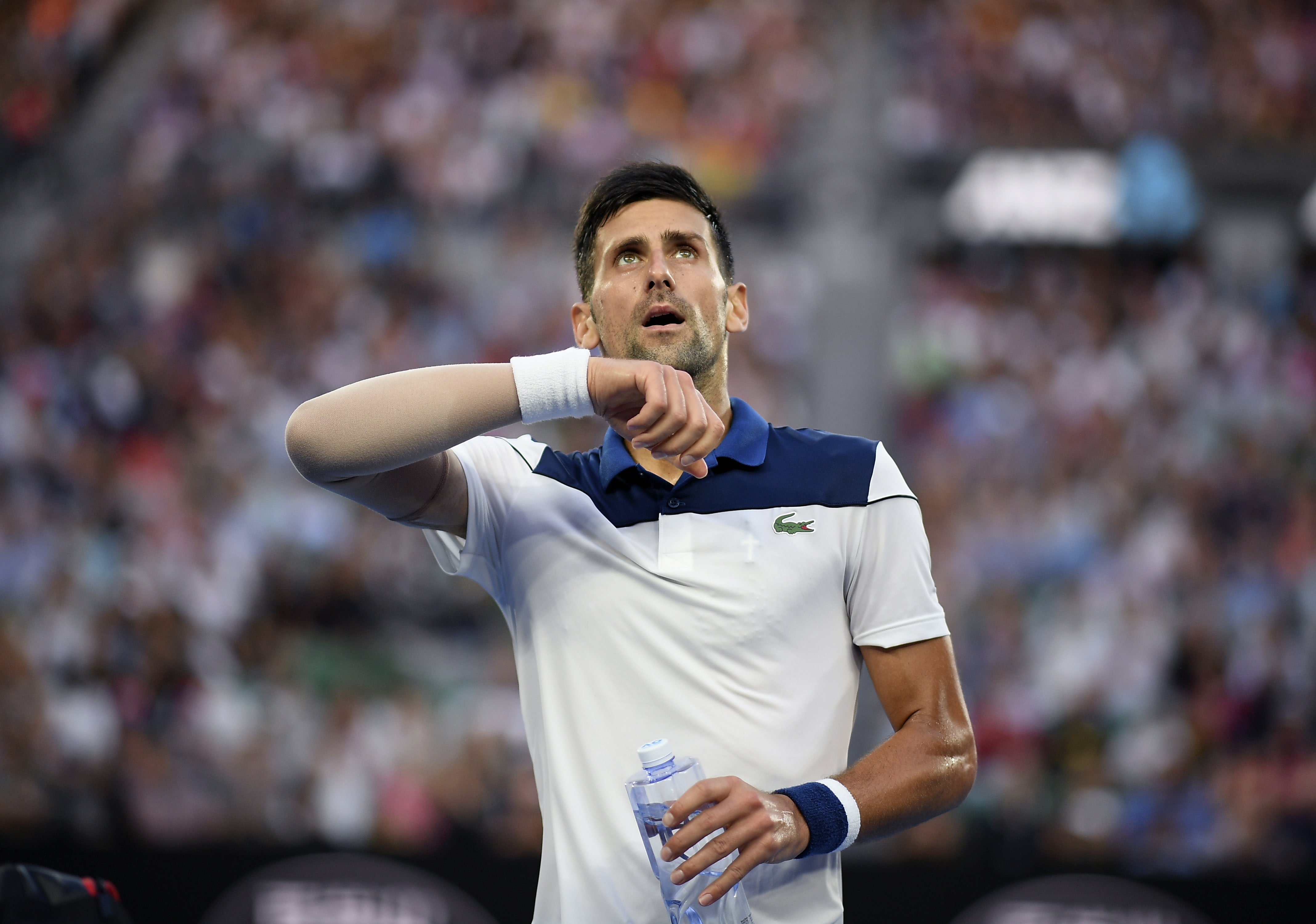 Novak Djokovic to 'reassess' his elbow following Australian Open exit