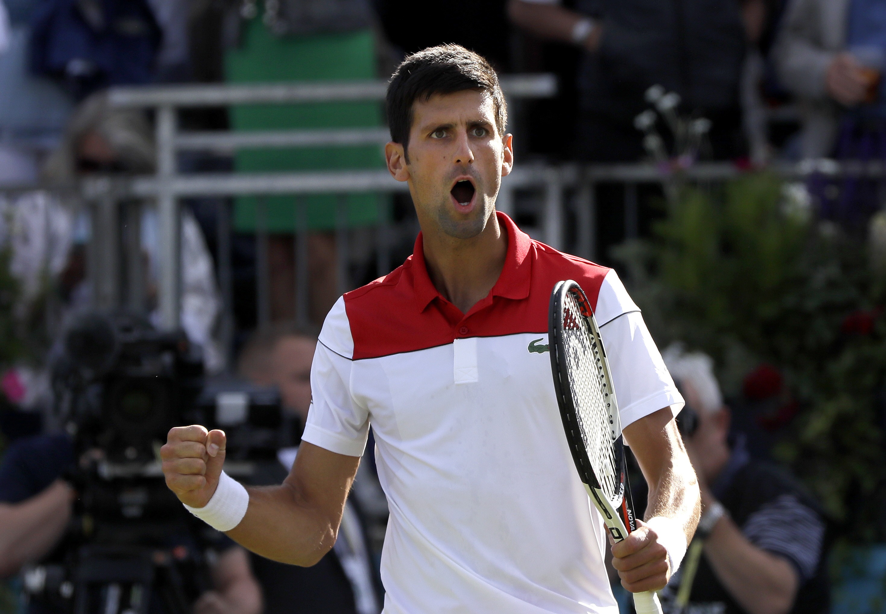 With win over Dimitrov, Djokovic cruises into quarterfinals in Queen's